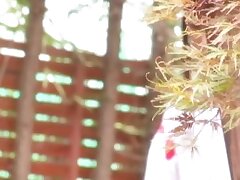 TGGP24_01 Furry Cutie's Deep Desire Extreme Penetration Adventures